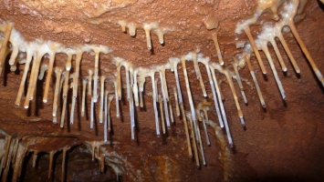 Leány-barlang - szalmacseppkövek