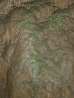Pilis-barlang