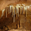 Fényképész-ág - Vacska-barlang