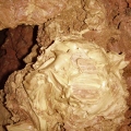 Hajnóczy-barlang