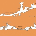 Pilis-barlang térkép