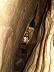 Ürömi-víznyelőbarlang