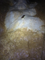 Legény-barlang Óriás-terem