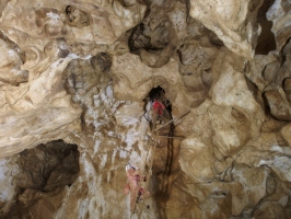Legény-barlang Denevér-ág