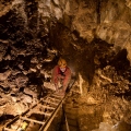 Legény-barlang Denevér-ág