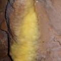 007vacska-barlang.JPG