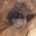 004vacska-barlang.JPG