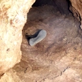 Hajnóczy-barlang