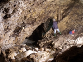 Macska-barlang