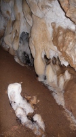 Ariadne-barlang