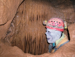 Leány-barlang Orgona